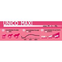 Unico Maxi - Προσούτο Ρύζι Πατάτα |  Ξηρά Τροφή 12kg